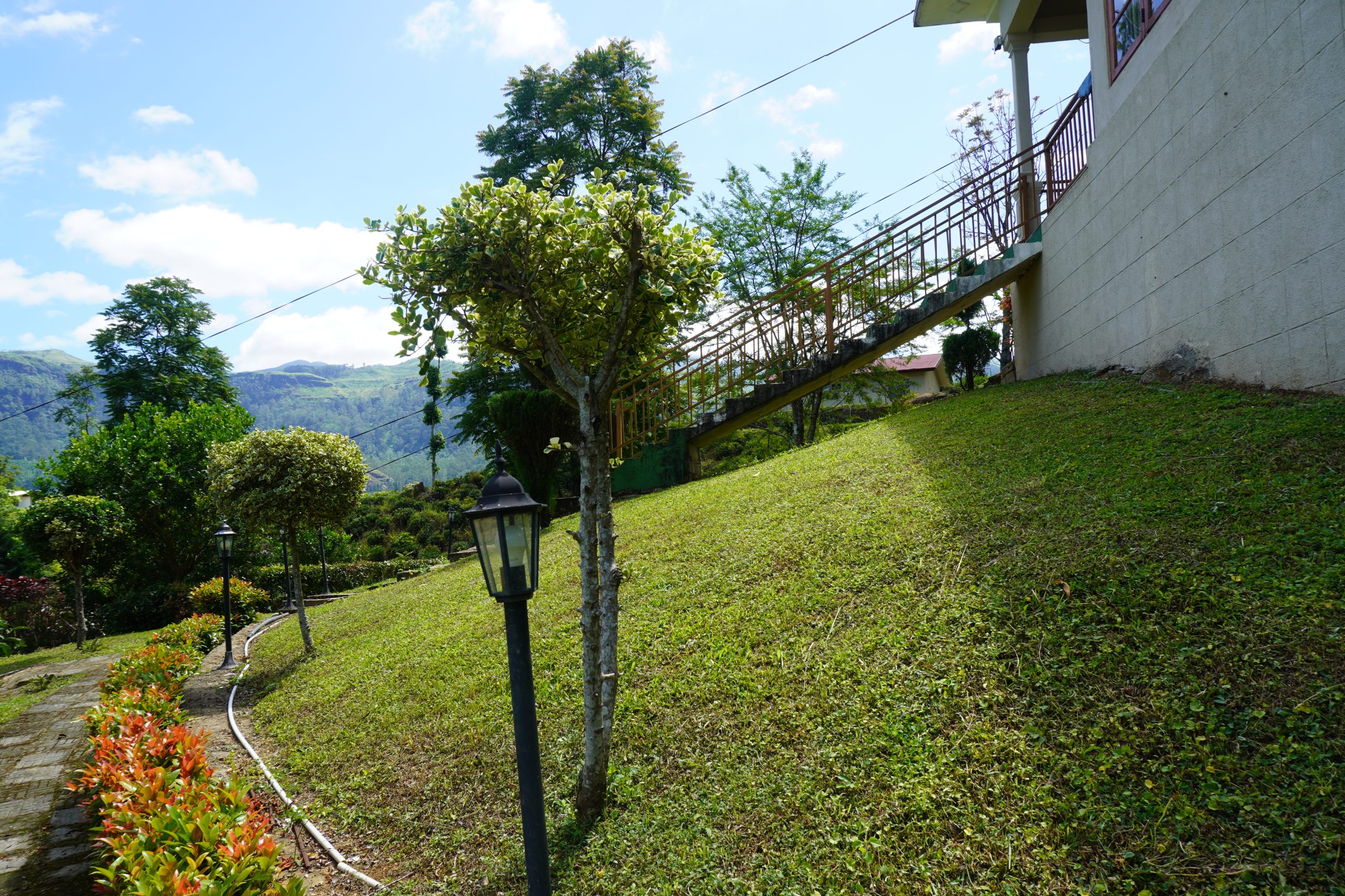 DSC00664