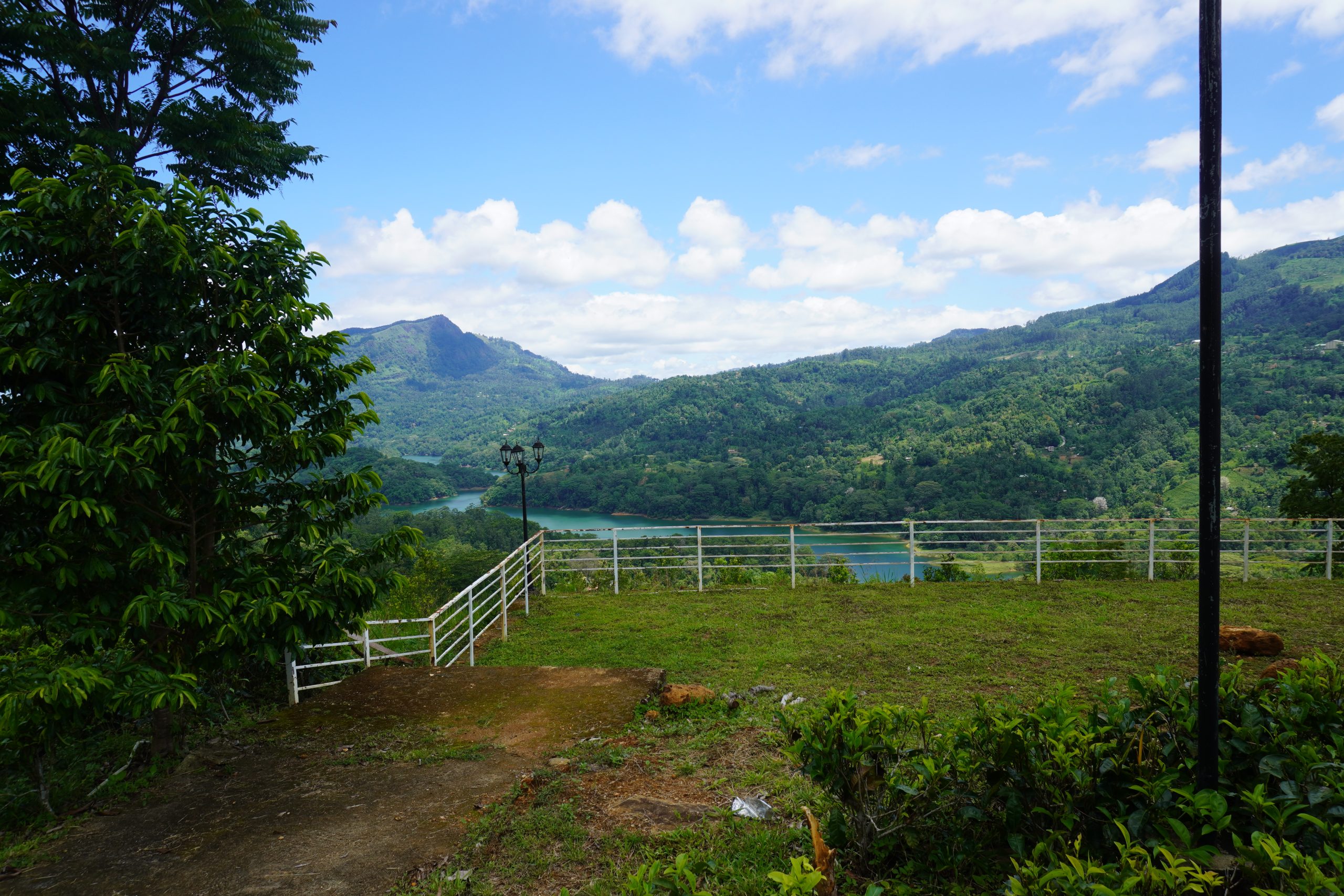 DSC00711